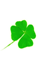 / ߺ°